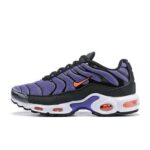 TN VIOLET