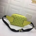 Louis Vuitton Outdoor Bumbag Yellow - Image 4