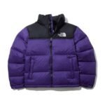 Jacket Puffer The North Face
