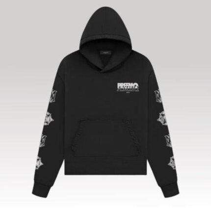 Hoodie Amiri
