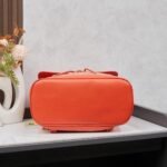 Goyard Alpin MM Backpack Orange Bag - Image 4