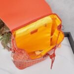 Goyard Alpin MM Backpack Orange Bag - Image 5