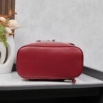 Goyard Alpin MM Backpack Red Bag - Image 4