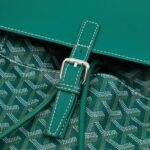 Goyard Alpin MM Backpack Green Bag - Image 6