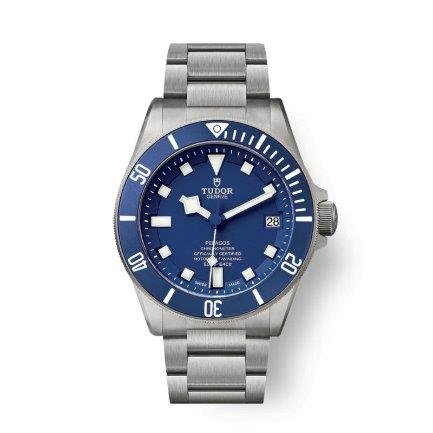 IMG15367 Tudor Pelagos - Image 1