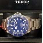 Tudor Pelagos - Image 2