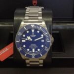 Tudor Pelagos - Image 3