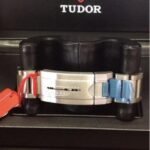 Tudor Pelagos - Image 4