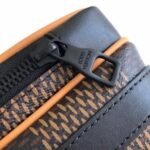 Louis Vuitton Nigo Amazone Nano Messenger Bag - Image 5