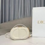 Shoulder Bag Dior Signature Camera Bag Off White - Image 2
