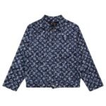 Louis Vuitton LV Monogram Denim