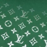 Hoodie Louis Vuitton LV Green Monogram Gradient - Image 4