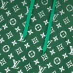 Hoodie Louis Vuitton LV Green Monogram Gradient - Image 5