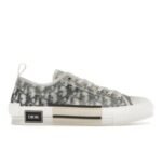 Dior B23 Low Top