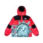 Jacket Supreme x The North Face Statue of Liberty - Image 6