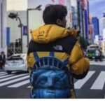 Jacket Supreme x The North Face Statue of Liberty - Image 24