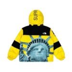 Jacket Supreme x The North Face Statue of Liberty - Image 2