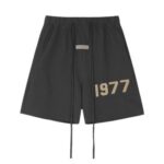 Shorts Fear of God Essentials