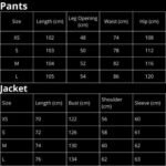 Set Balenciaga Logo Track Jacket and Pants - Image 3