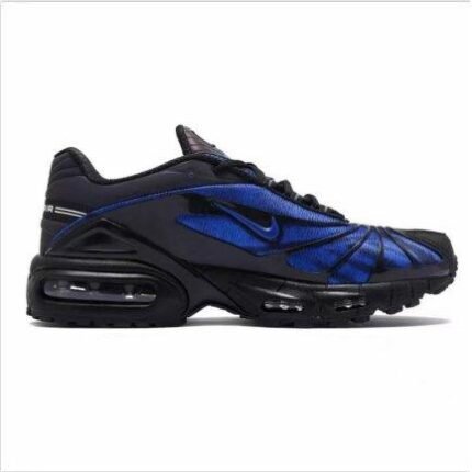 Air Max Tailwind