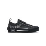 Dior B23 Low Top