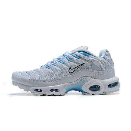 IMG3853 Air Max TN Plus Blue Fury - Image 1
