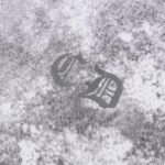 T-shirt Chrome Hearts Floral Graphic White - Image 6