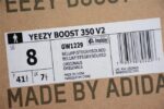 Adidas Yeezy 350 V2 Beluga - Image 12