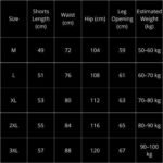 Shorts Louis Vuitton - Image 3