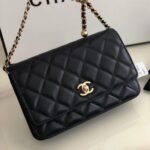Shoulder Bag Chanel WOC Lambskin - Image 2