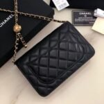 Shoulder Bag Chanel WOC Lambskin - Image 4