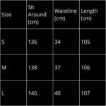 Balenciaga Pants Black - Image 3