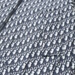 Jacket Dior Monogram Hooded - Image 5