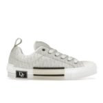 Dior B23 Low Top