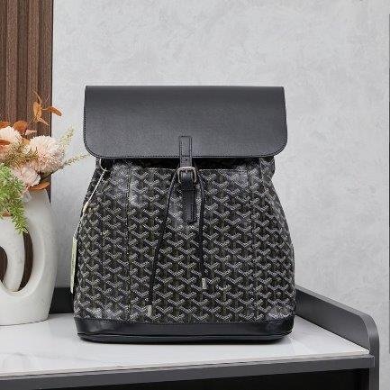 IMG7941 Goyard Alpin MM Backpack Black Bag - Image 1