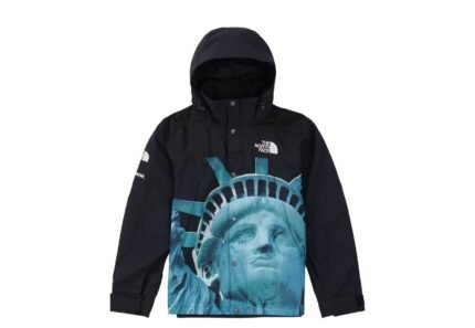 JACKET THE NORTH FACE BJ