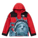 JACKET THE NORTH FACE IJ