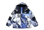 JACKET THE NORTH FACE GF