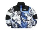 JACKET THE NORTH FACE GF - Image 4