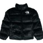 JACKET THE NORTH FACE BLACKK