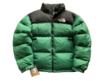 JACKET THE NORTH FACE GREEN