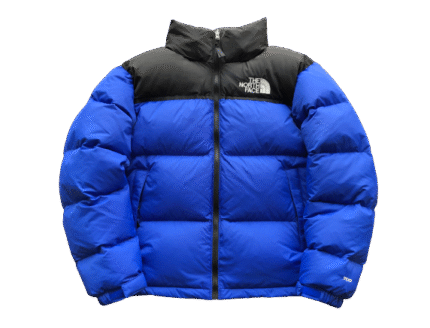 JACKET THE NORTH FACE BLUE