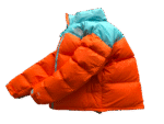 JACKET THE NORTH FACE - MULTICOLOR - Image 3