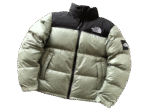 JACKET THE NORTH FACE - SHHS - Image 2