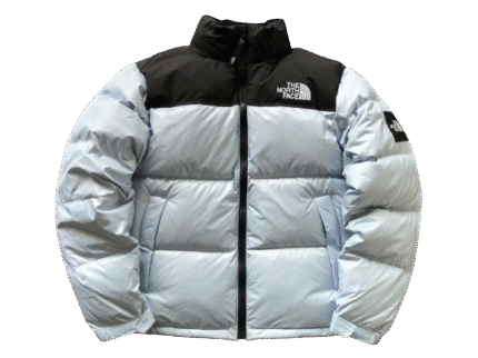 JACKET THE NORTH FACE - WHITE ICE