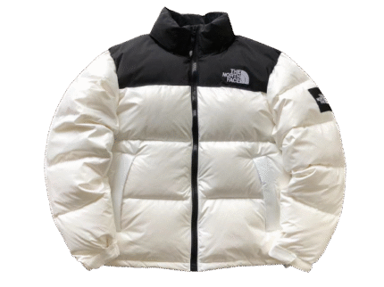 JACKET THE NORTH FACE - WHITE