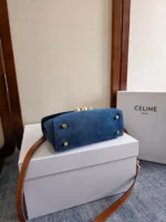 Celine Triomphe Dome Bag Brown & Blue - Image 2