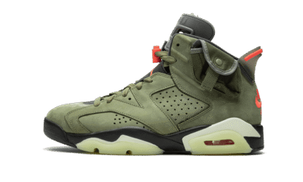 Jordan 6 - TS