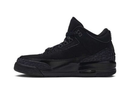 Air Jordan 3 Black Cat